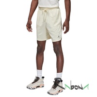 Мужские шорты Nike Jordan DF SPRT Mesh 113