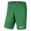 Чоловічі футбольні шорти Nike Dry Park III NB 302