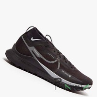 Кросівки Nike Pegasus Trail 4 Gore-Tex 001
